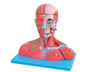 BioLab Products